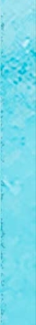 240708_nestle_list_r.jpg