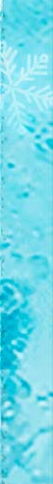 240708_nestle_list_r_4.jpg