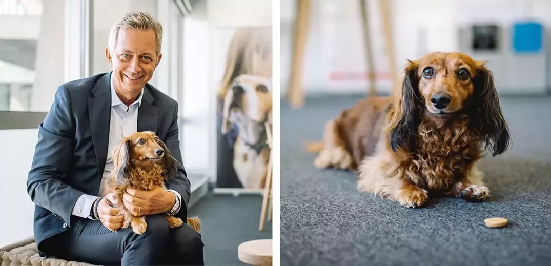 five-brand-innovations-bernard-joy-wide Bernard Meunier with dog Joy