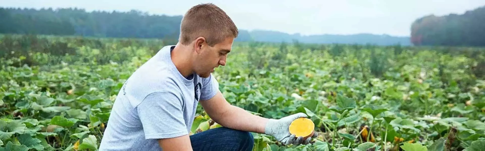 three-brands-sustainability-farmer-big Farmer