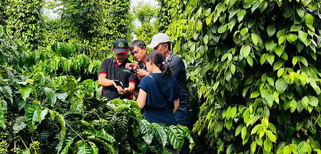three-brands-sustainability-vietnam-wide Farmers