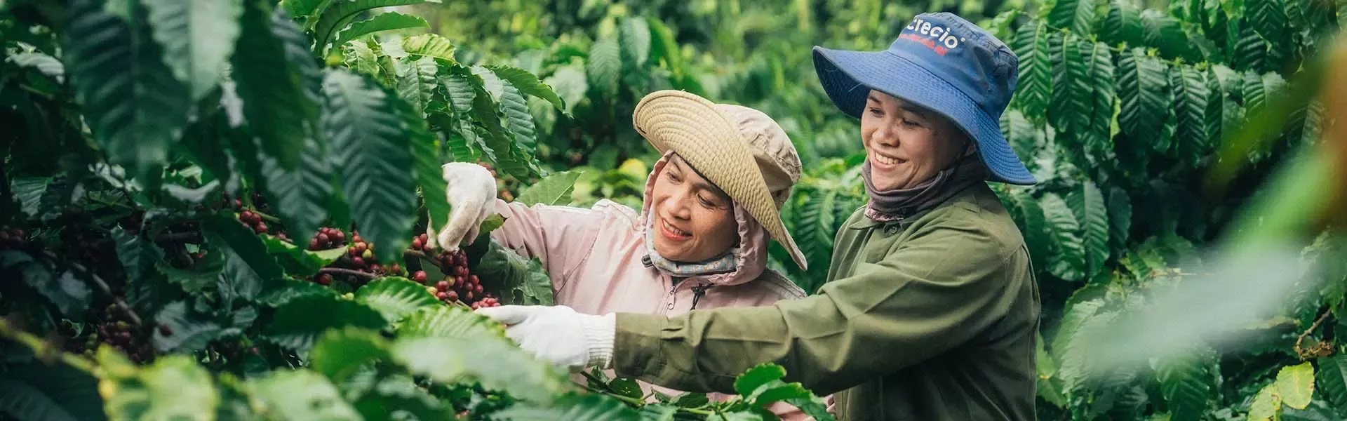 女性咖啡農面臨的獨特挑戰