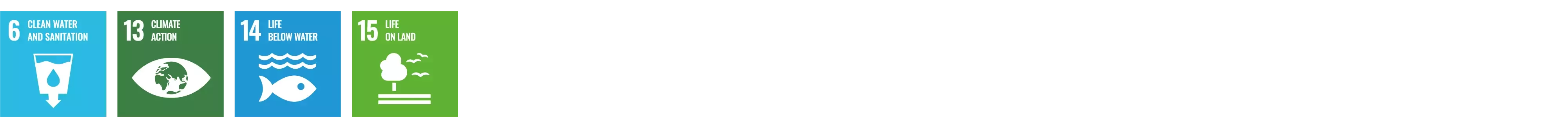 SDG 6,13,14,15