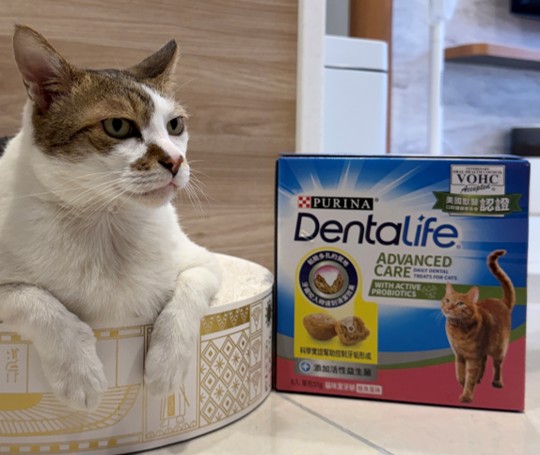 「普瑞納 DENTALIFE 貓咪潔牙餅」每顆僅 1.4 大卡,並添加活性益生菌、牛磺酸及鈣質,兼顧美味與營養。