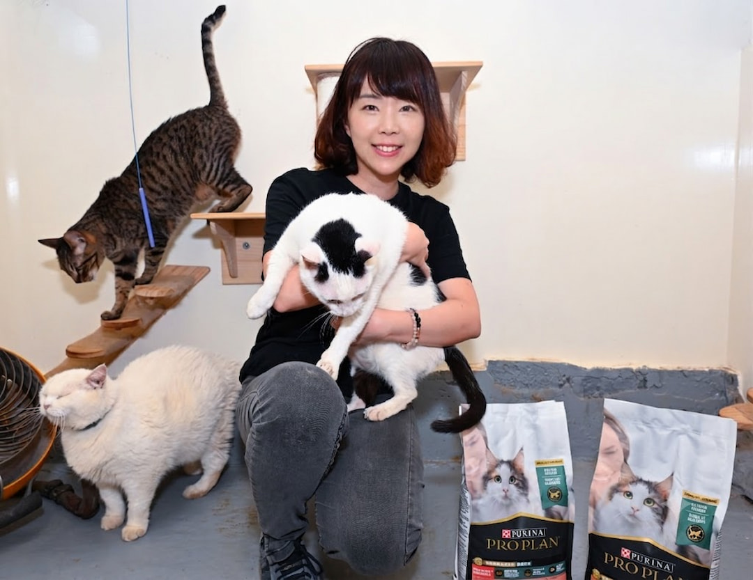 台灣雀巢普瑞納寵物食品事業部總監周小喬與浪貓親暱互動，冠能舒敏飼料讓每一次擁抱都充滿安心與幸福。