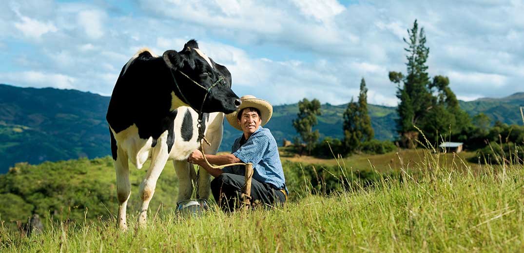 dairy-farmer-wide farmer in a field