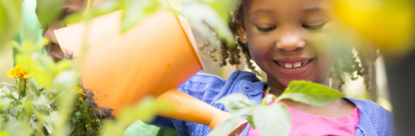 growing-veggies-with-kids-banner