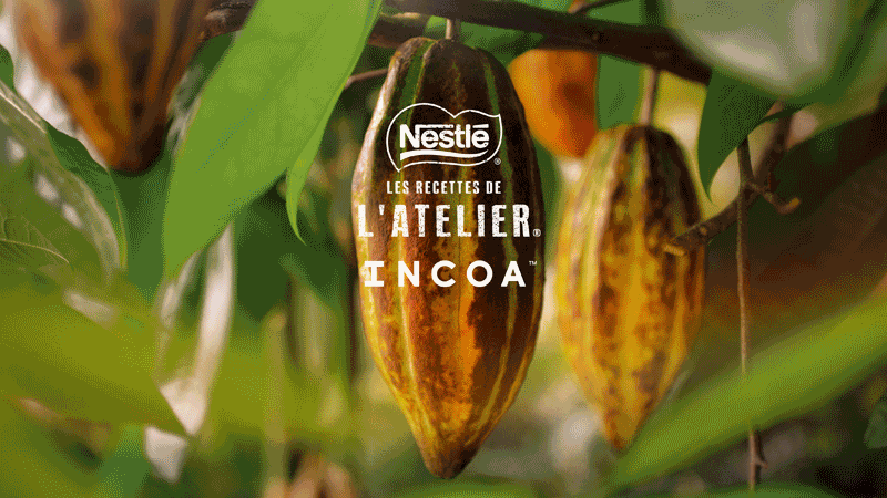 incoa-gif Incoa
