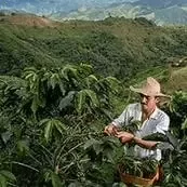 我們秉持著信念：每一杯 Nespresso 的咖啡都能為世界帶來積極正向的改變，並以此信念驅動著我們的永續承諾。