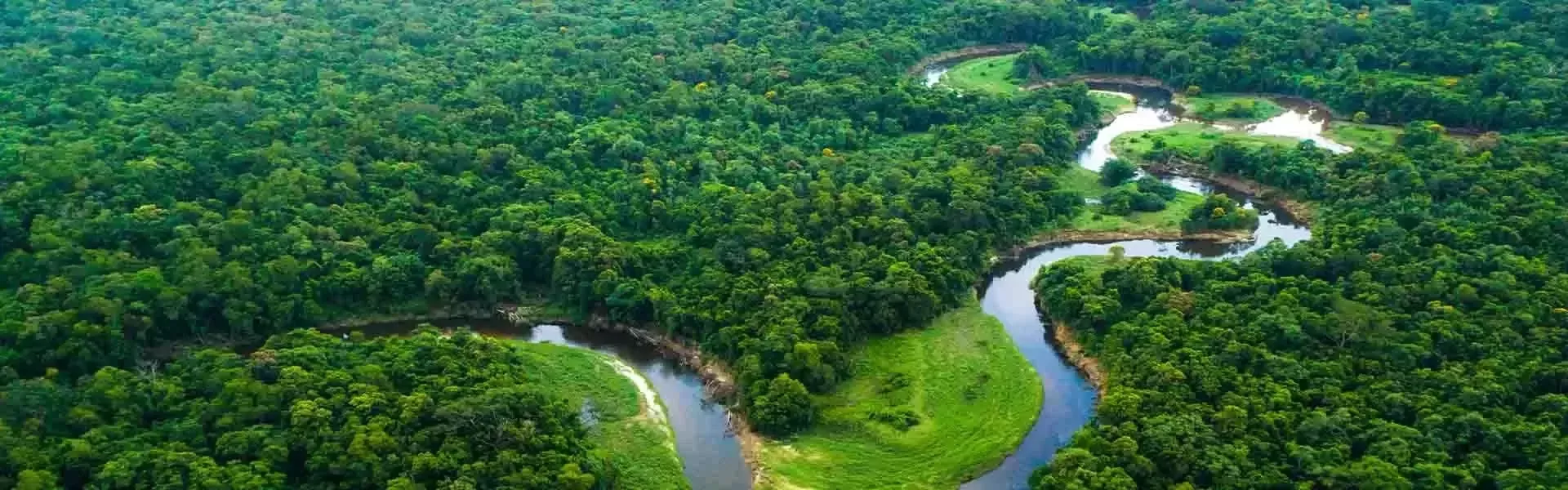 Regenerative agriculture