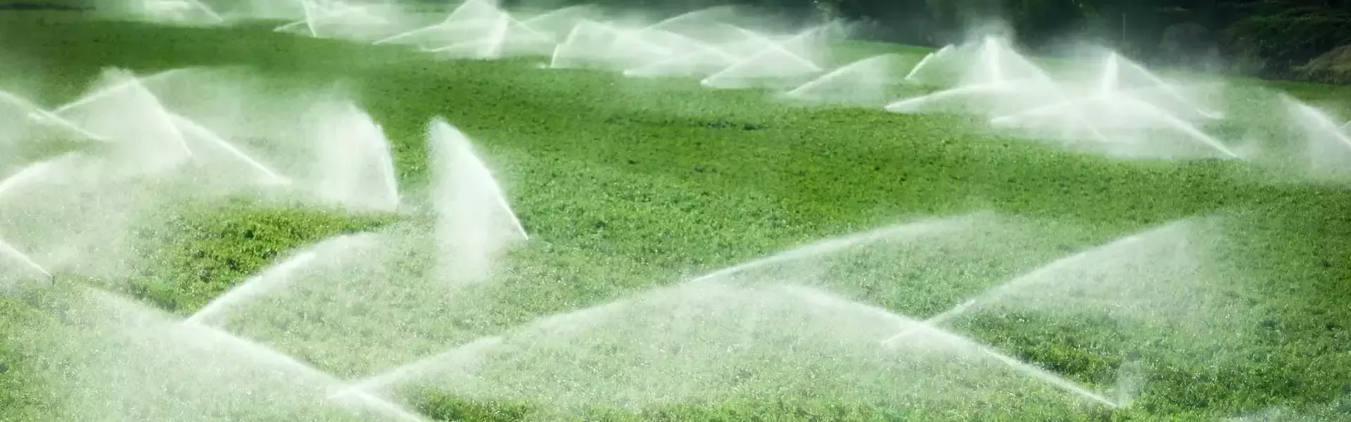 雀巢農業活動中的永續水資源管理