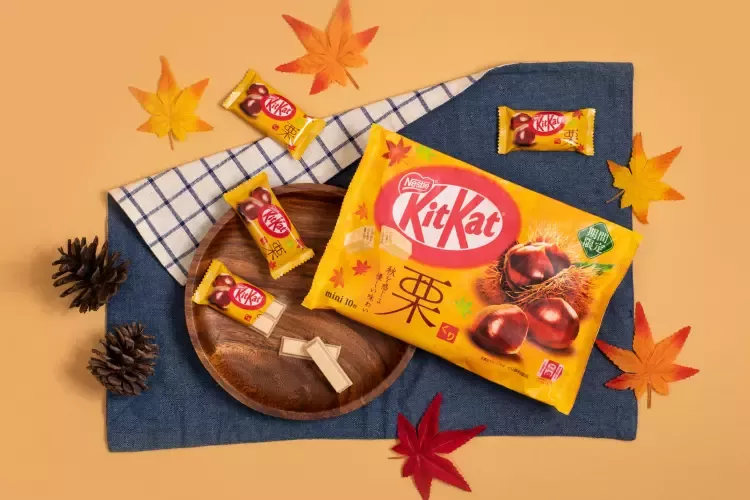 雀巢KitKat巧克力圖鑑收藏多款首發新品，如產季限定「KitKat甘栗威化」，溫潤秋栗結合甘甜巧克力香氣