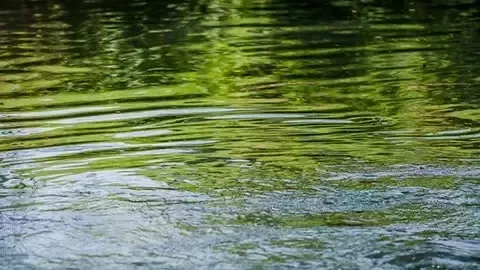 水資源（Water）