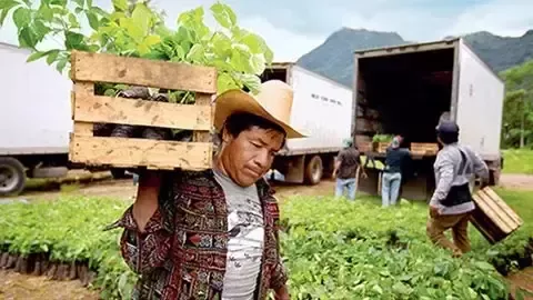 長期推動森林保護與復育