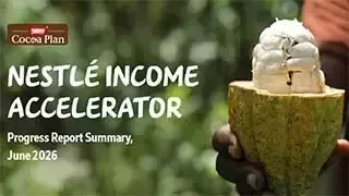 收入加速計劃進度報告