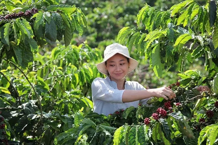 雀巢全球宣布投入10億瑞郎，打造咖啡永續產業鏈。