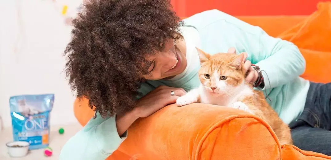 working-product-portfolio-purina